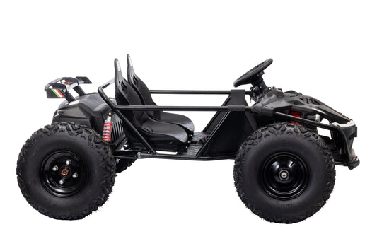 PRE ORDER - 48V 2 SEATER BUGGY