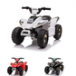 Ride on Quad Bike 6V